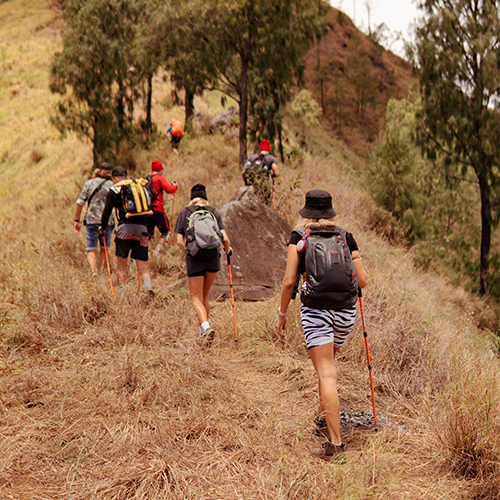 Wildlife Tour Packages